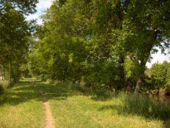 loire (269).jpg